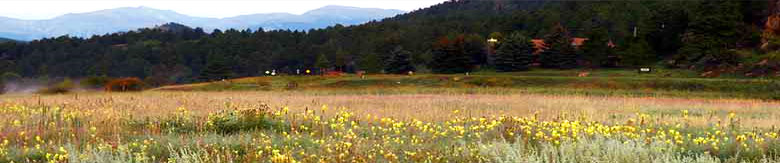 Denver Spas